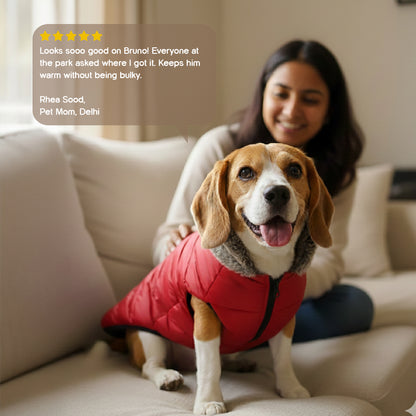 ArcticFunk Jacket – Windproof, Cosy & Everyday Winter Wear for Pets