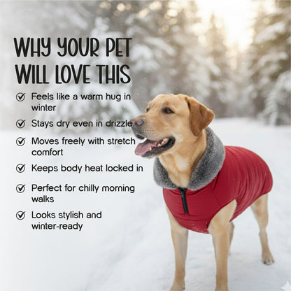 ArcticFunk Jacket – Windproof, Cosy & Everyday Winter Wear for Pets