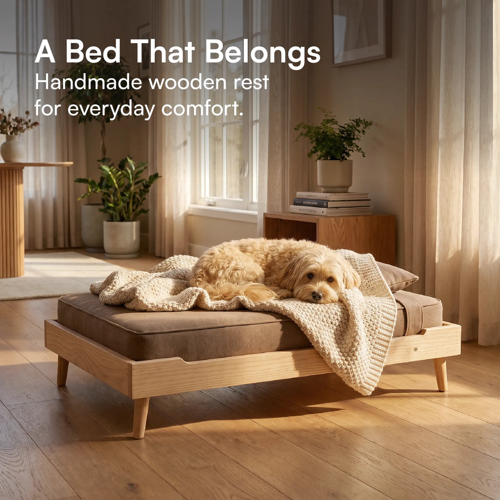 AristoBed | Handmade Wooden Pet Bed | Durable | Stylish & Washable