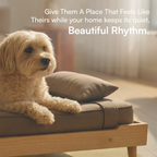 AristoBed | Handmade Wooden Pet Bed | Durable | Stylish & Washable