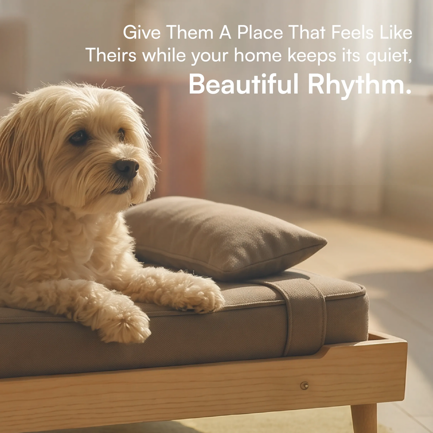 AristoBed | Handmade Wooden Pet Bed | Durable | Stylish & Washable