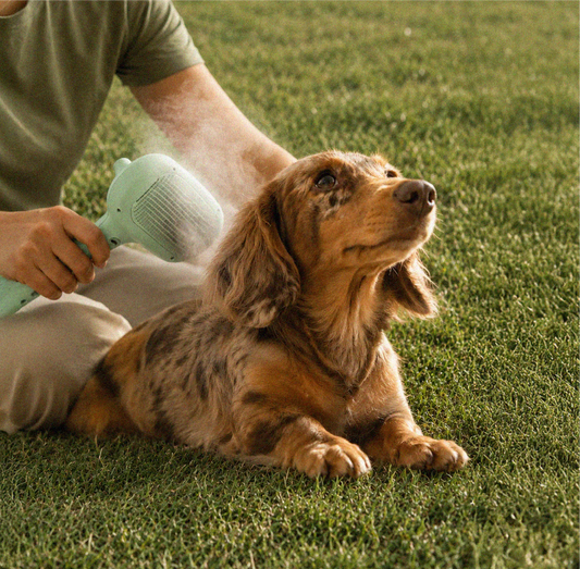 MistCalm Brush | Tangle-Free Mist Grooming for Dogs & Cats