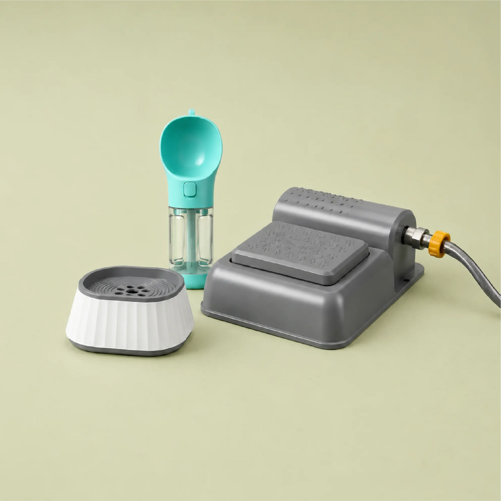 Daily Hydration Kit | Sip, Serve & Refresh