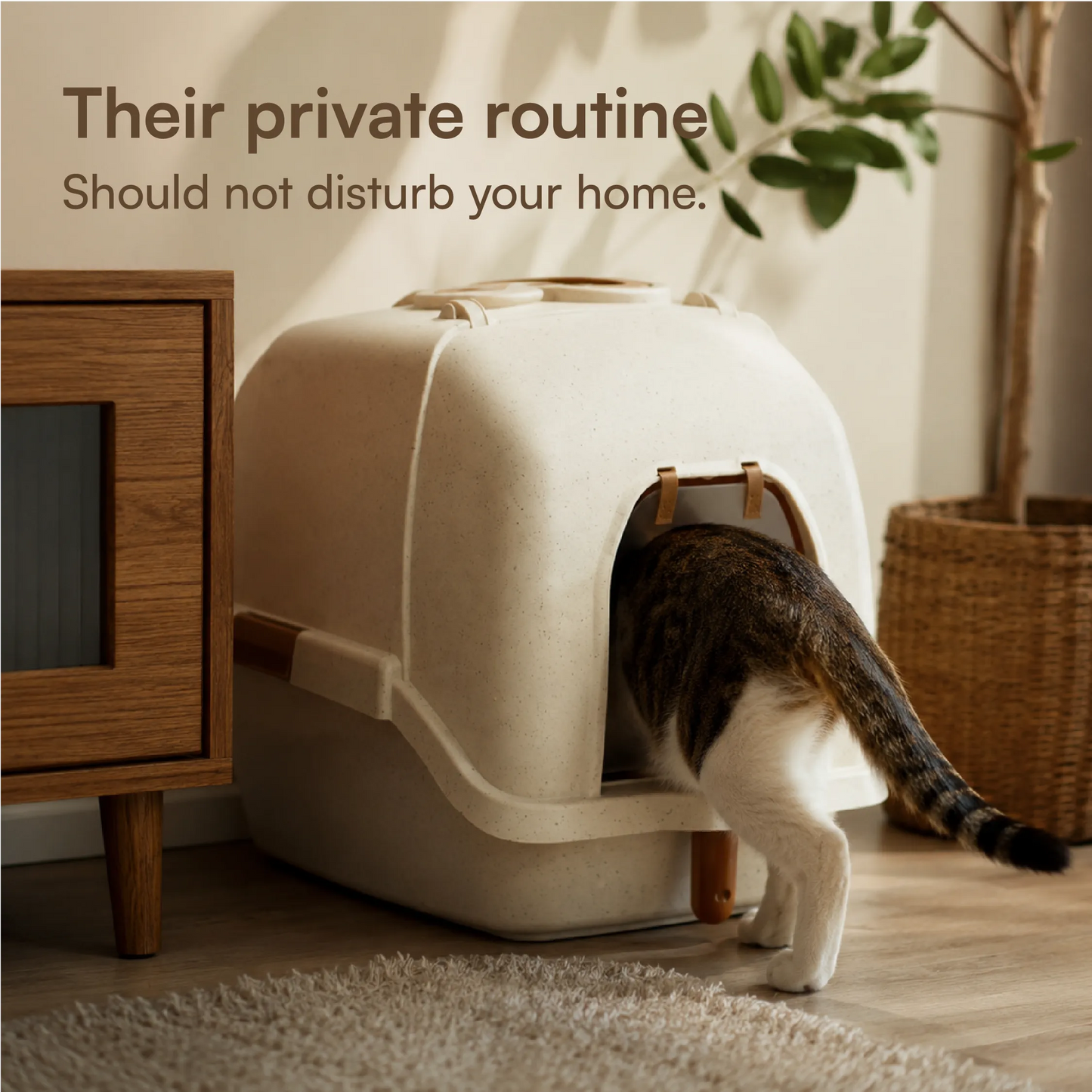 Aurora Litter Den – Clean, Comfy & Private Litter Space for Cats