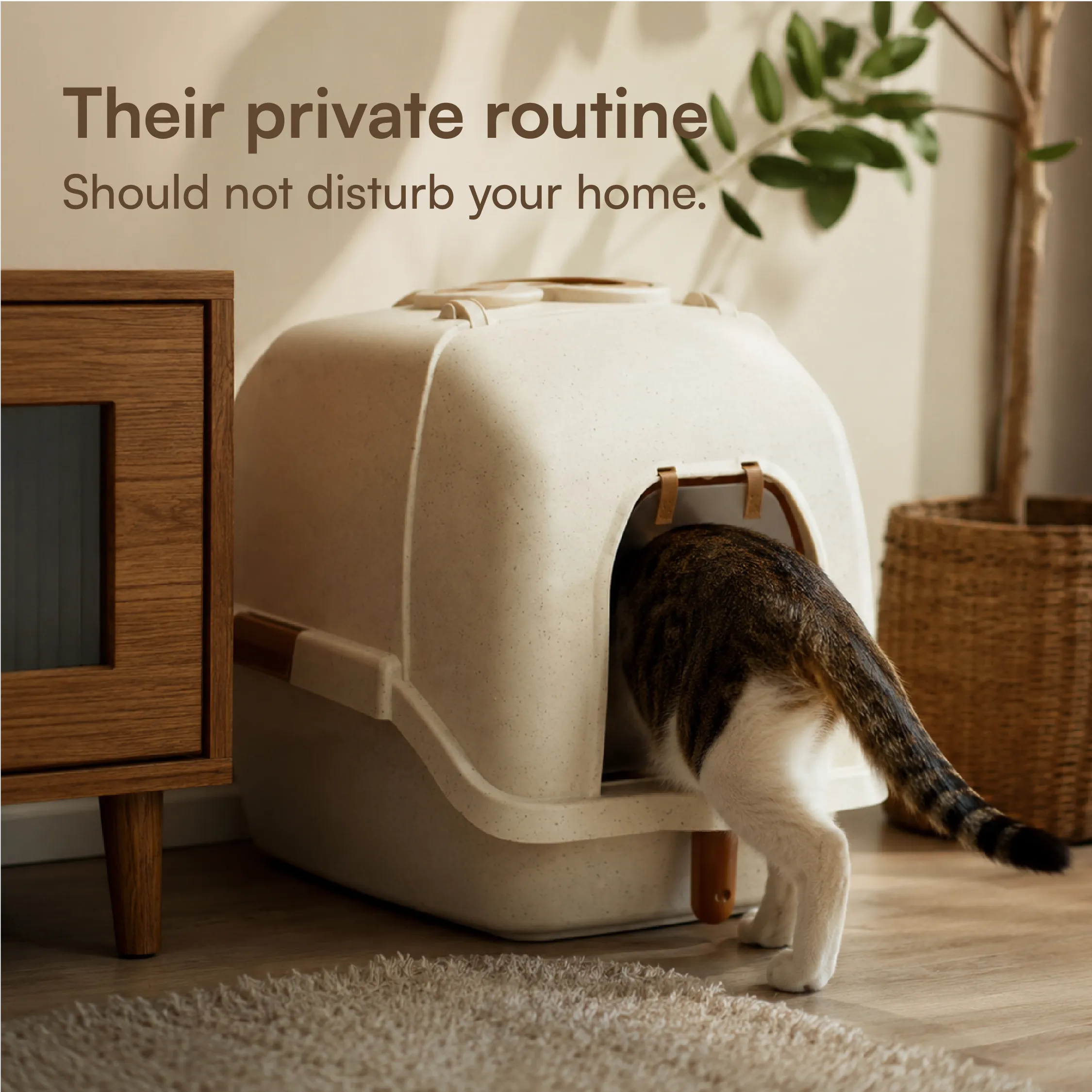Aurora Litter Den – Clean, Comfy & Private Litter Space for Cats