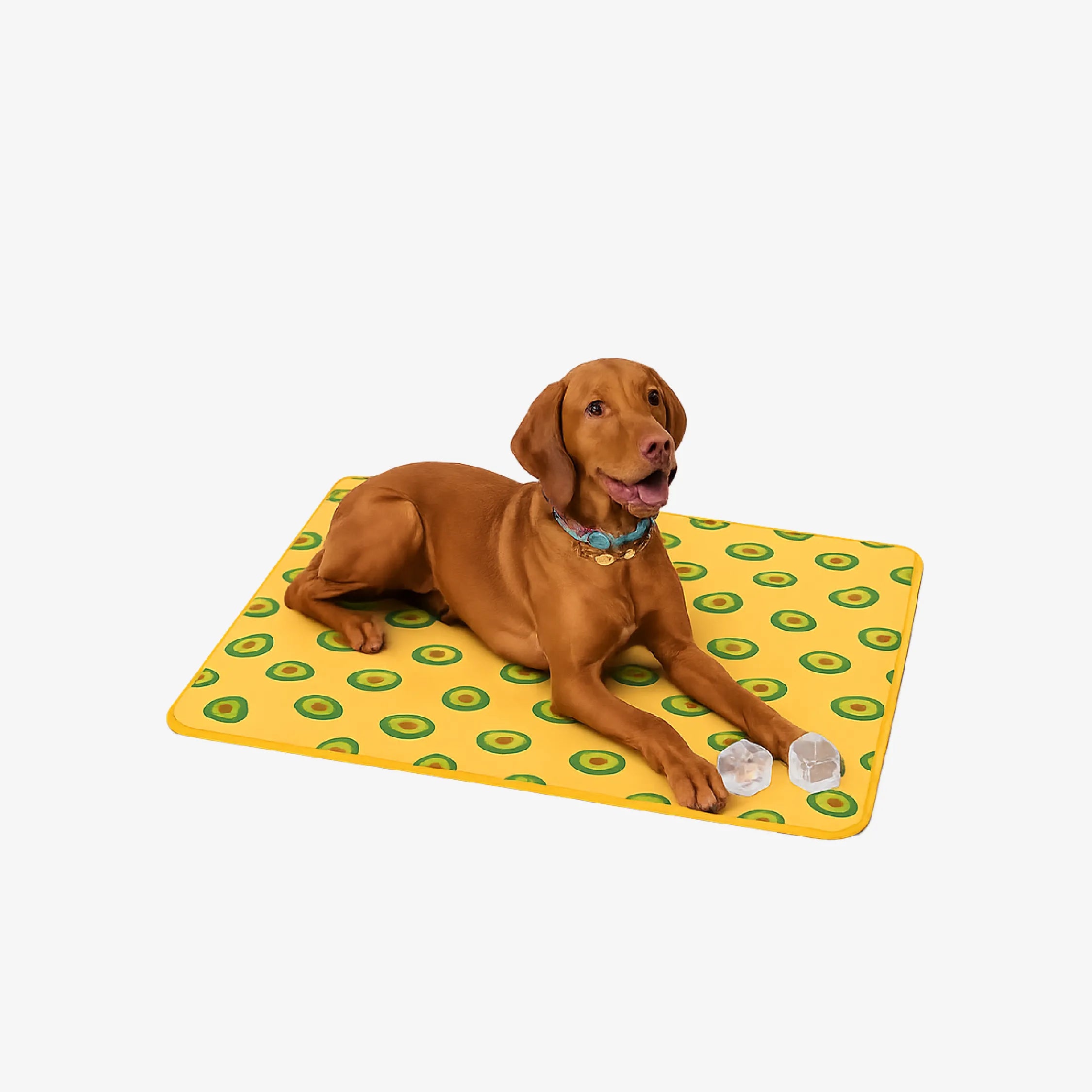 AvoCool Mat