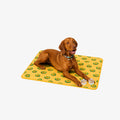 AvoCool Mat