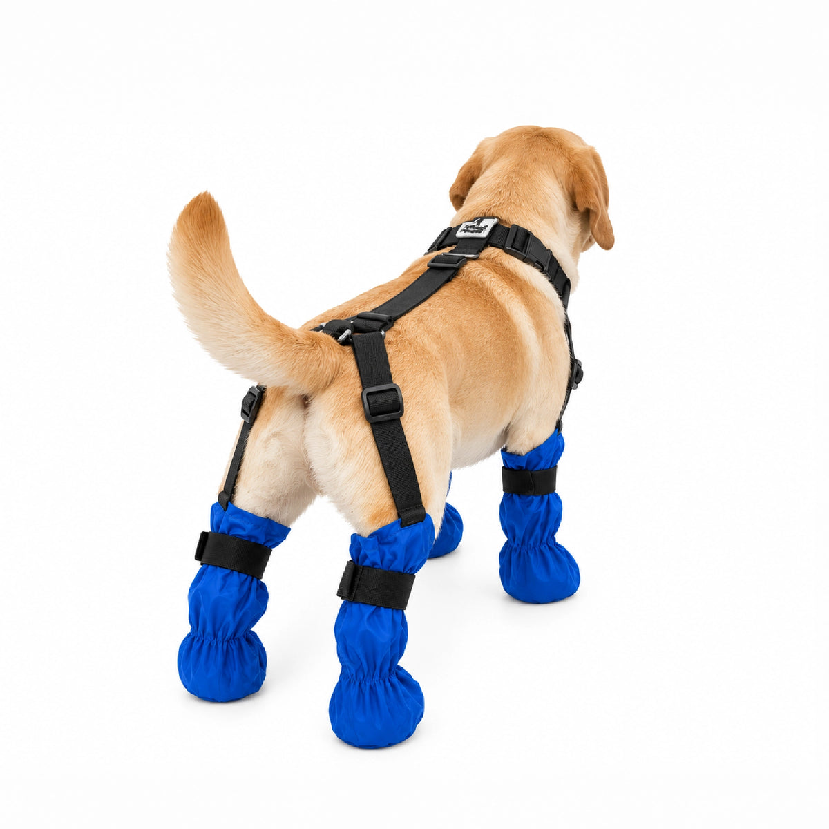 SnugFit Suspender Boots