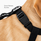 SnugFit Suspender Boots