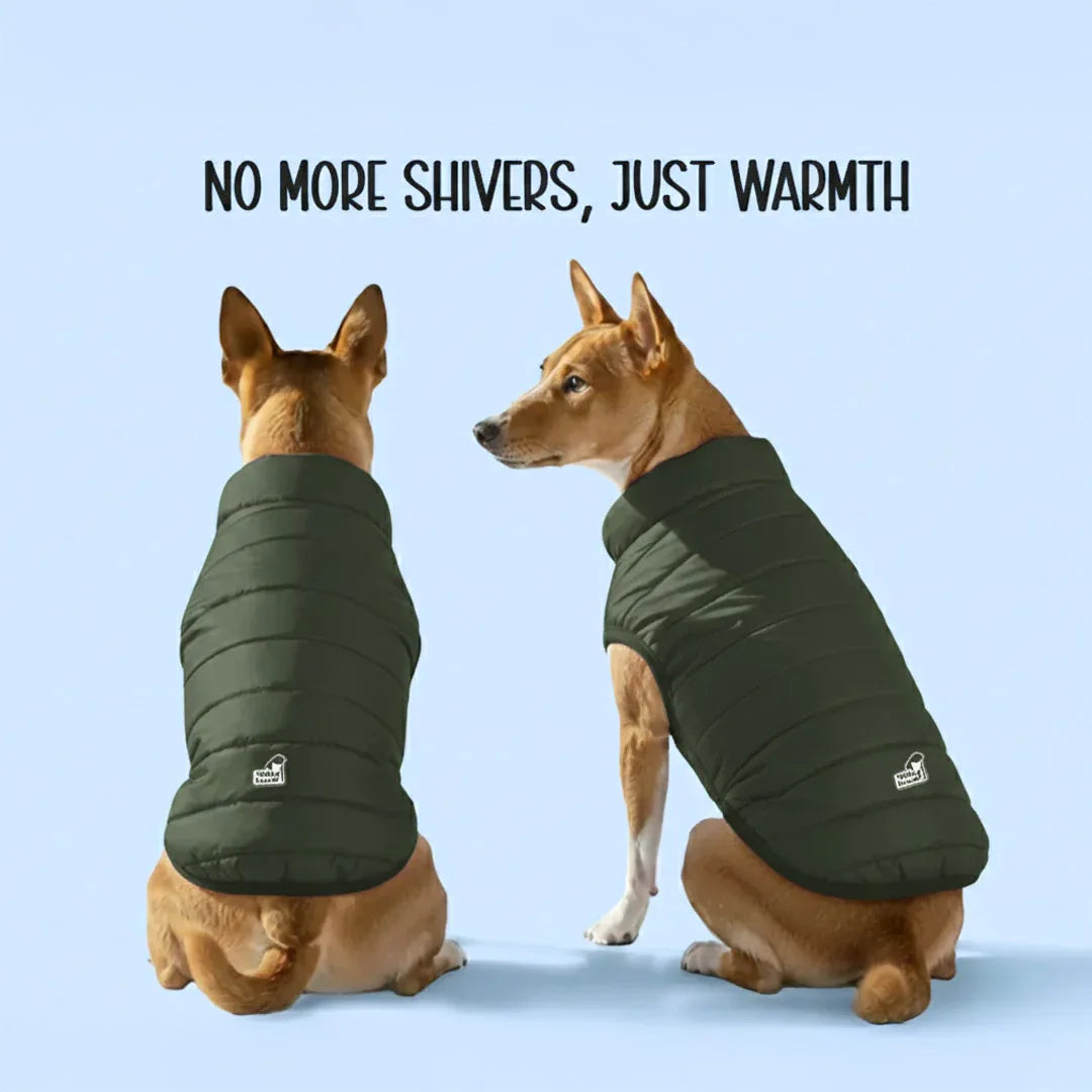 CalmFrost Puffer Jacket | Waterproof, Lightweight & Warm Dog Jacket | Winter Comfort & Style - Tilting Heads