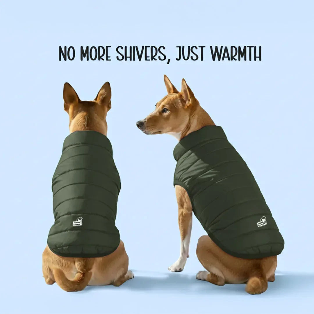 CalmFrost Puffer Jacket | Waterproof, Lightweight & Warm Dog Jacket | Winter Comfort & Style - Tilting Heads
