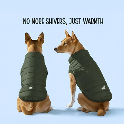 CalmFrost Puffer Jacket | Waterproof, Lightweight & Warm Dog Jacket | Winter Comfort & Style - Tilting Heads