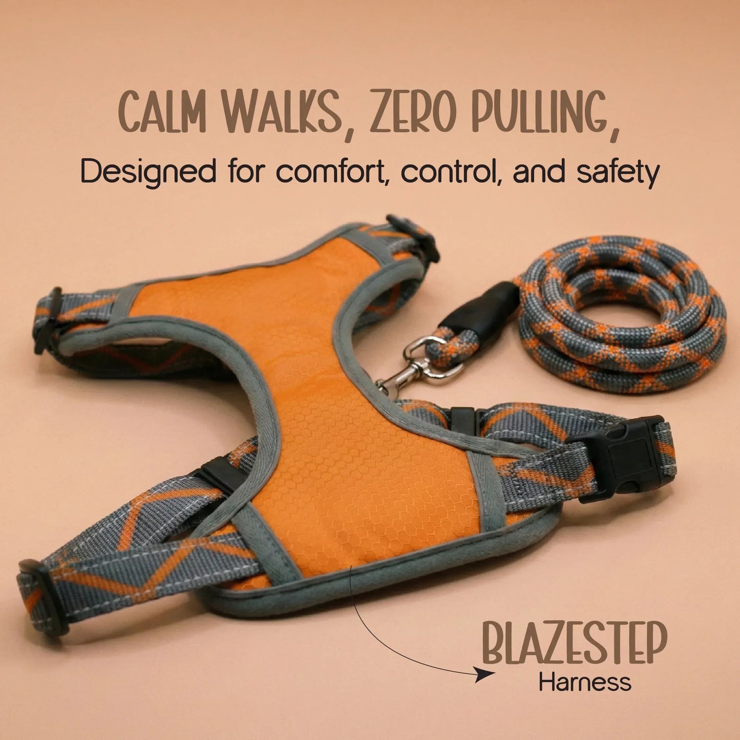 BlazeStep Harness – No-Pull Mesh Harness for Comfortable Dog Walks