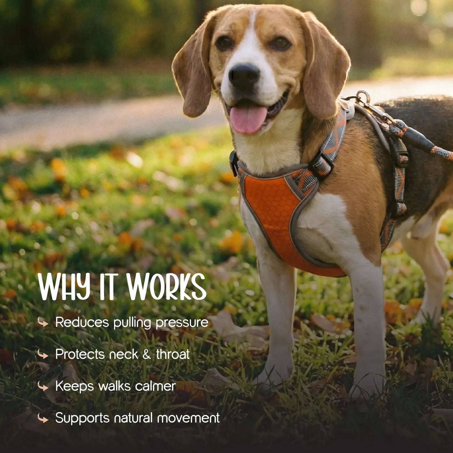 BlazeStep Harness – No-Pull Mesh Harness for Comfortable Dog Walks