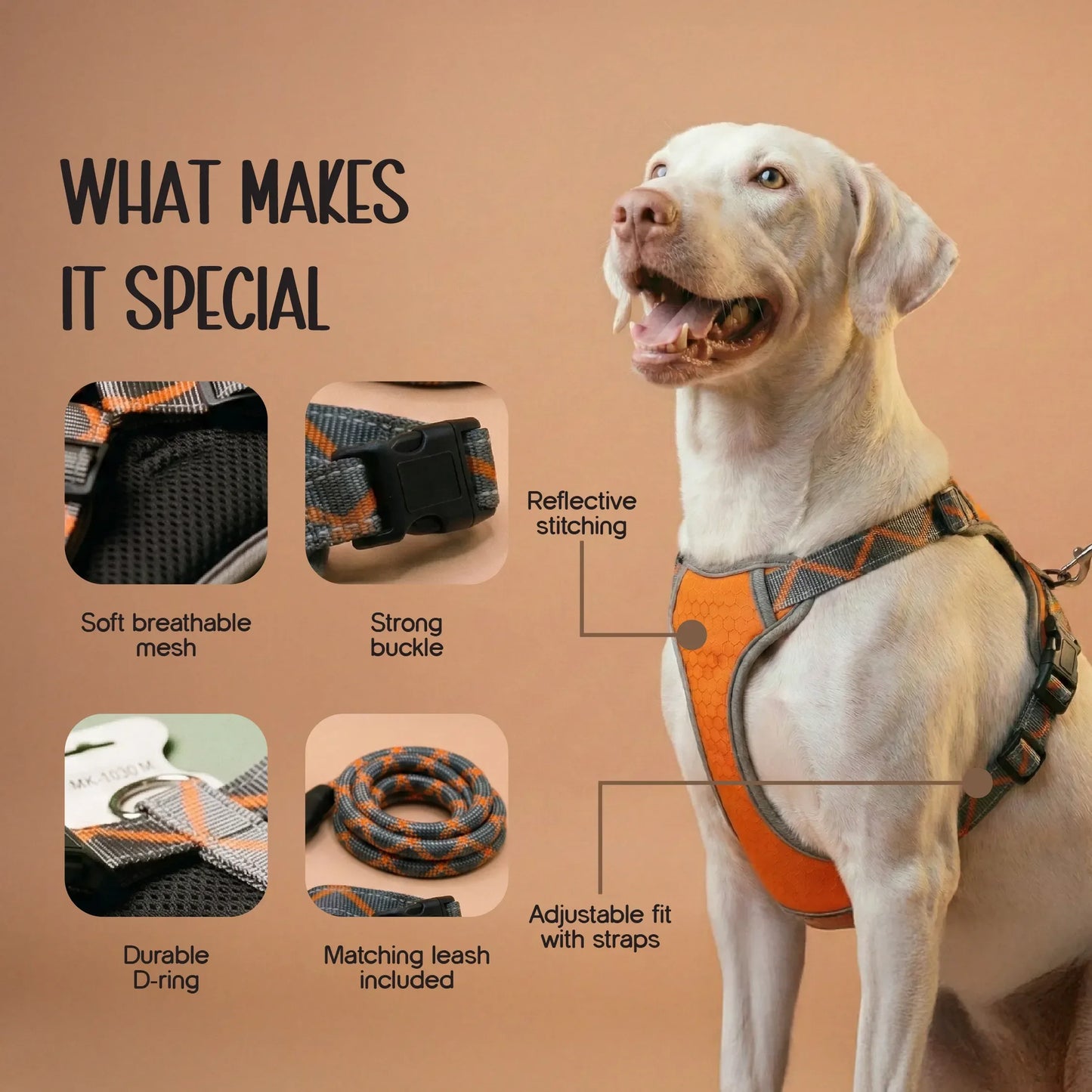 BlazeStep Harness – No-Pull Mesh Harness for Comfortable Dog Walks