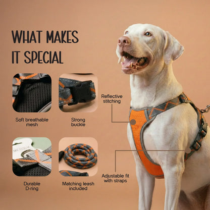 BlazeStep Harness – No-Pull Mesh Harness for Comfortable Dog Walks