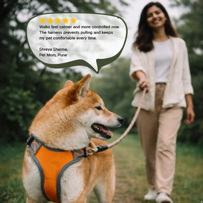 BlazeStep Harness – No-Pull Mesh Harness for Comfortable Dog Walks