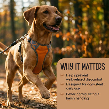 BlazeStep Harness – No-Pull Mesh Harness for Comfortable Dog Walks