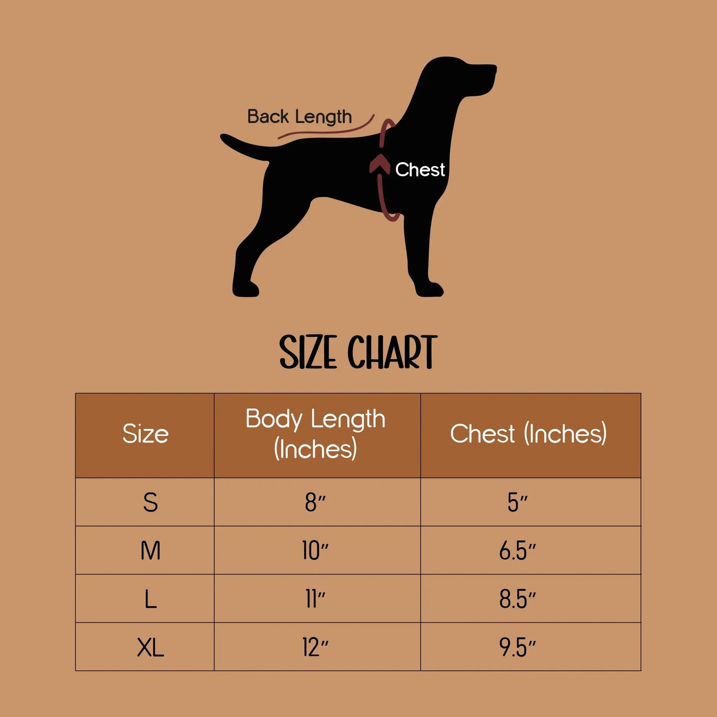 BlazeStep Harness – No-Pull Mesh Harness for Comfortable Dog Walks