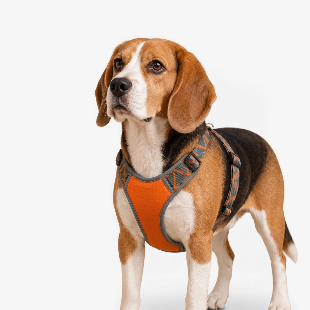 BlazeStep Harness