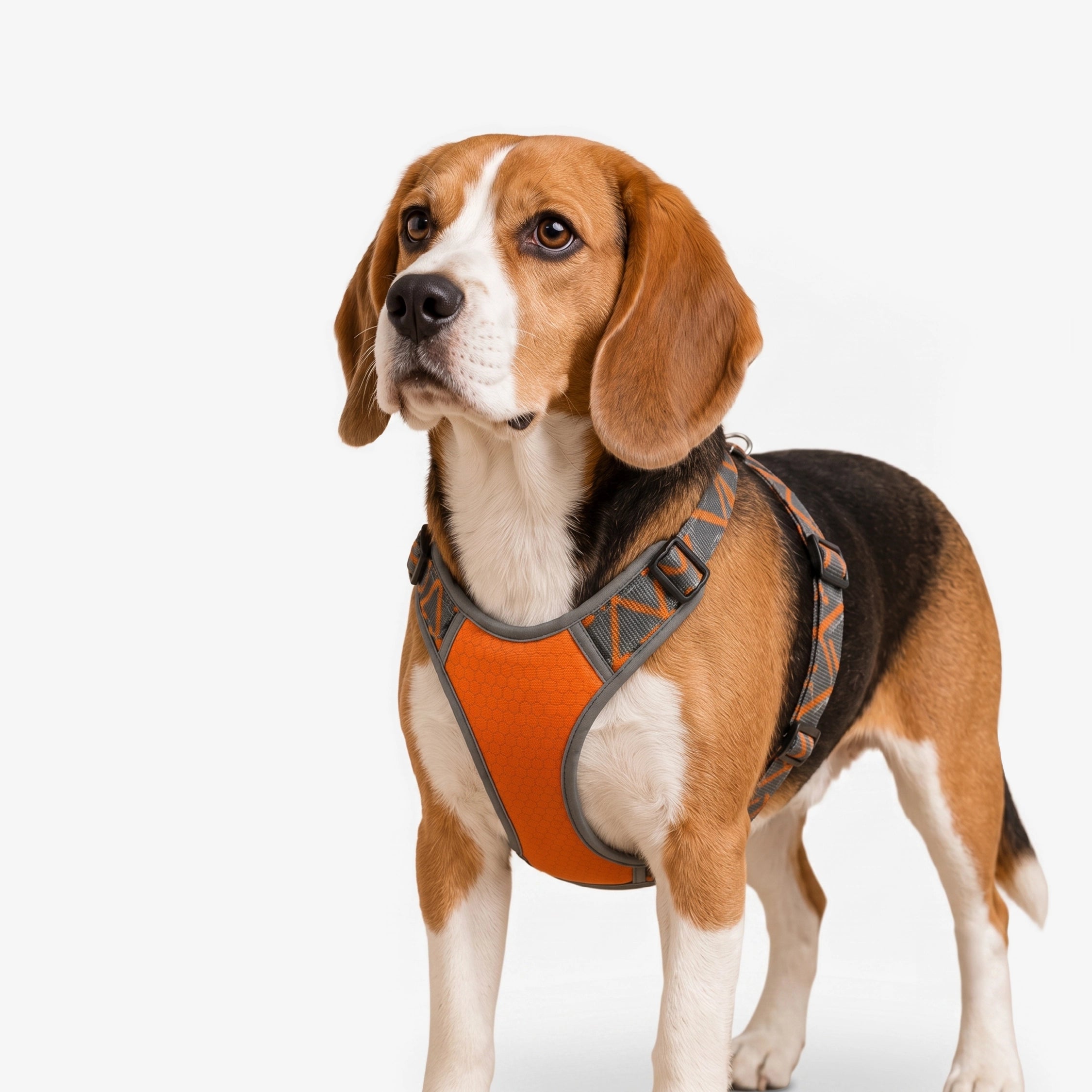 BlazeStep Harness