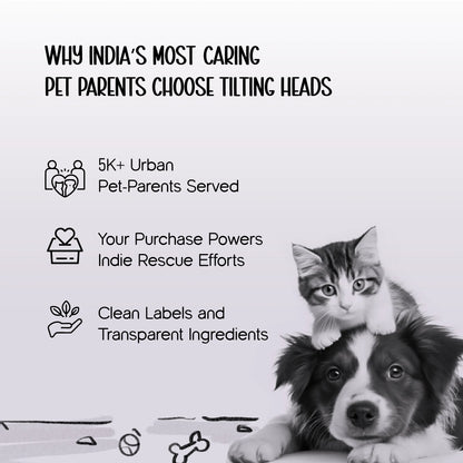 BlueJay Sneaks | Denim Pet Boots | Non-Slip Comfort, Snug Everyday Fit