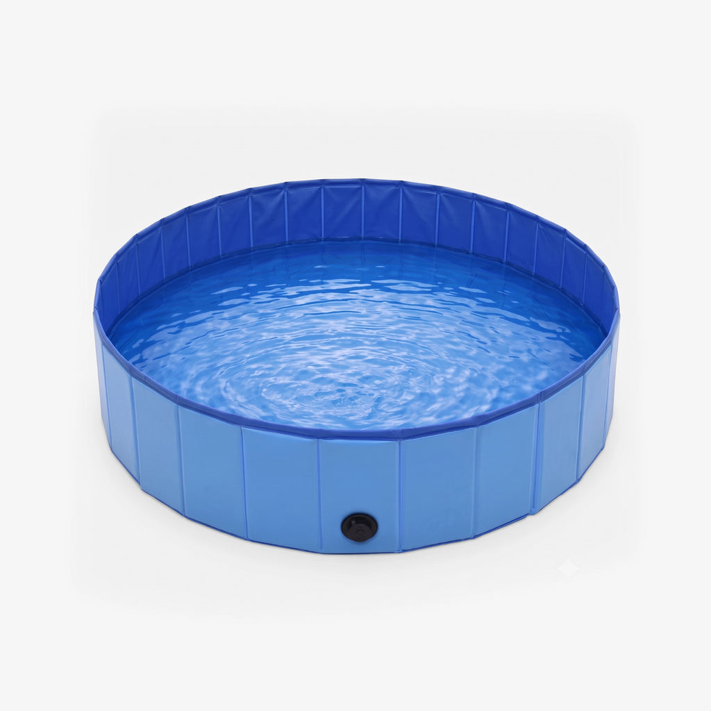 BlueWave Pool