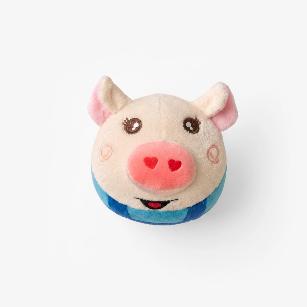 BopPiggy Toy