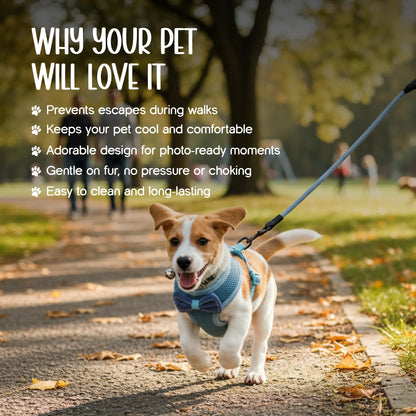 BowHug Harness | Soft, Escape-Proof Comfort for Confident Walks
