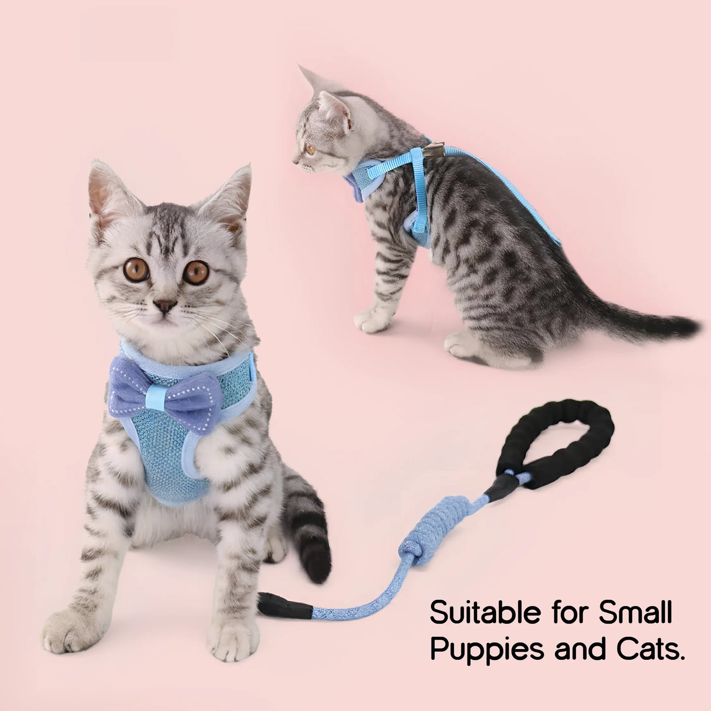 BowHug Harness | Soft, Escape-Proof Comfort for Confident Walks