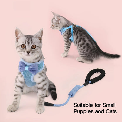 BowHug Harness | Soft, Escape-Proof Comfort for Confident Walks