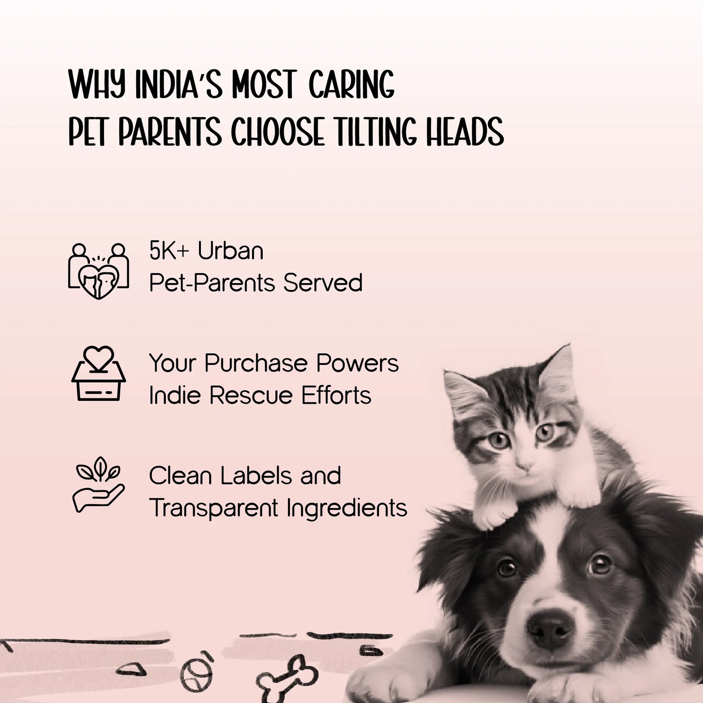 BowHug Harness | Soft, Escape-Proof Comfort for Confident Walks