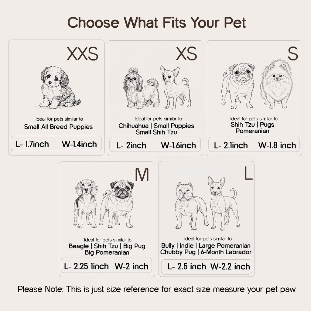 BunnyGlide Boots | Premium Small Pet Shoes for Paw Safety & Style - Tilting Heads
