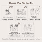 BunnyGlide Boots | Premium Small Pet Shoes for Paw Safety & Style - Tilting Heads