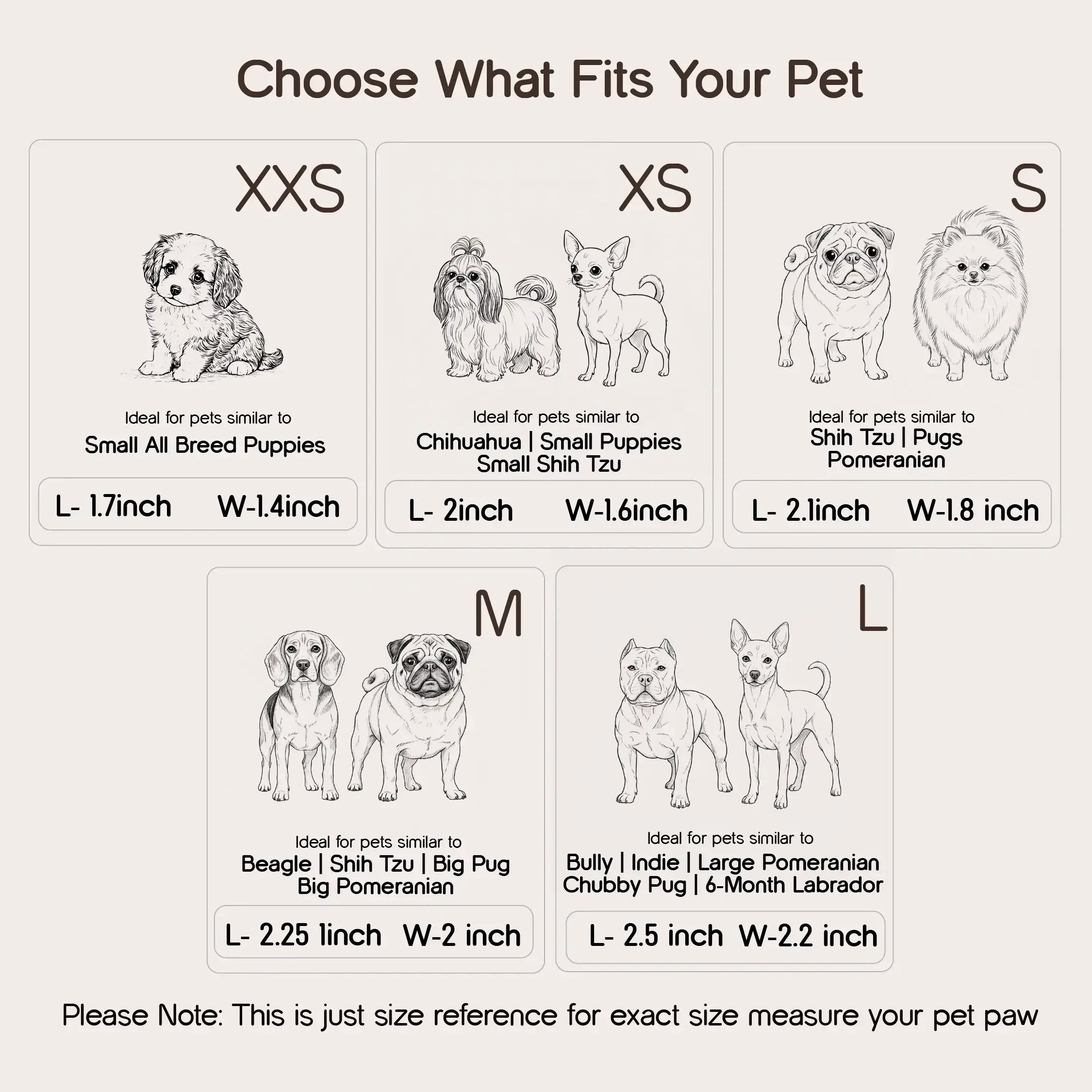 BunnyGlide Boots | Premium Small Pet Shoes for Paw Safety & Style - Tilting Heads