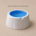 ChillSip Bowl – Cooling Pet Water Bowl for Fresh, Hydrated Days