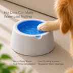ChillSip Bowl – Cooling Pet Water Bowl for Fresh, Hydrated Days