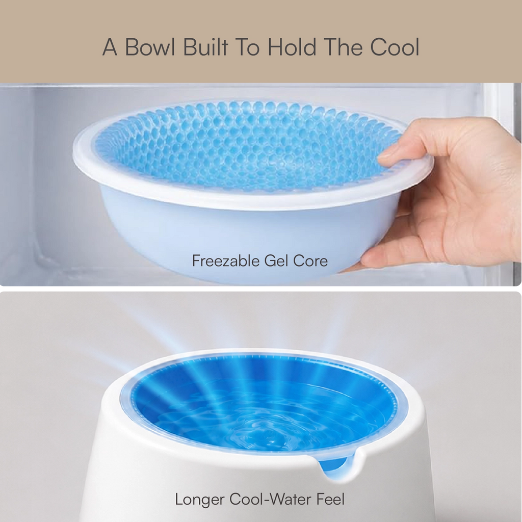 ChillSip Bowl – Cooling Pet Water Bowl for Fresh, Hydrated Days