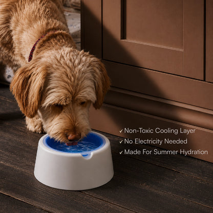 ChillSip Bowl – Cooling Pet Water Bowl for Fresh, Hydrated Days