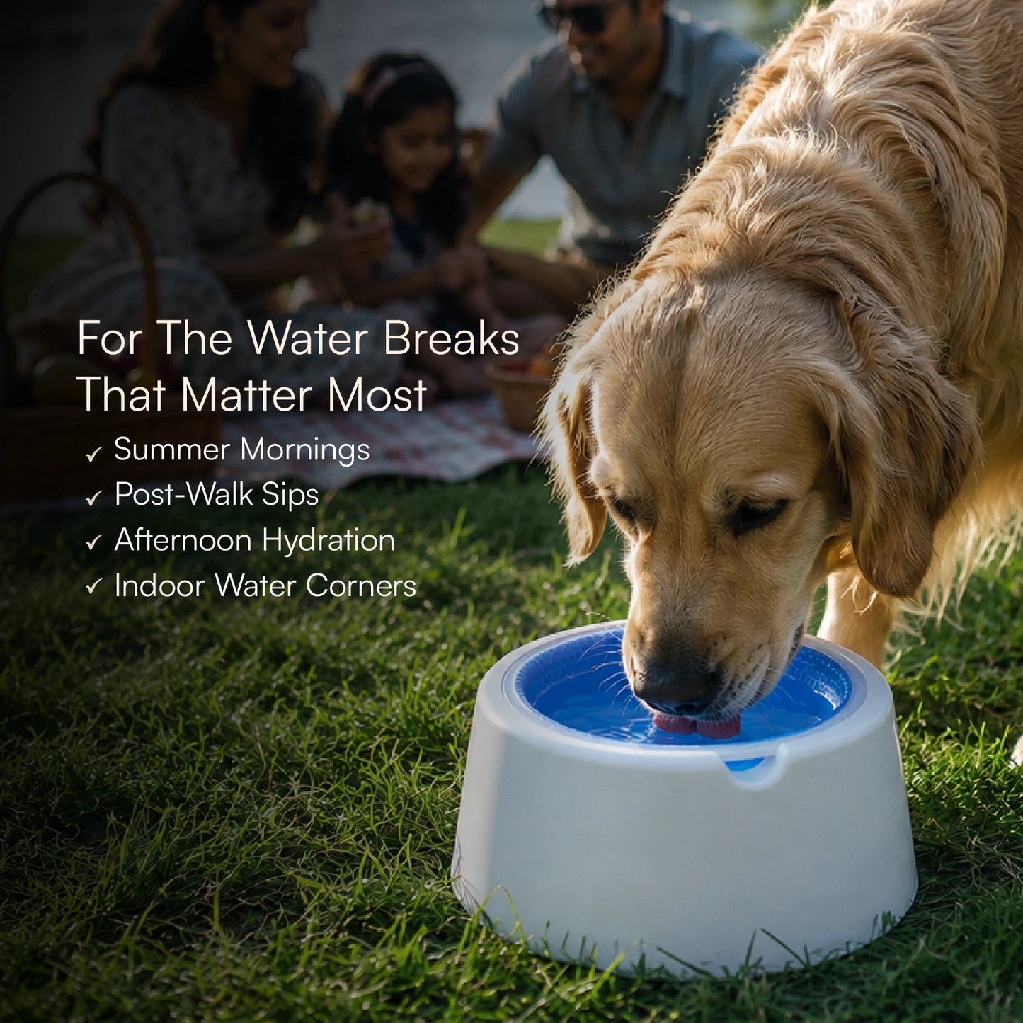 ChillSip Bowl – Cooling Pet Water Bowl for Fresh, Hydrated Days