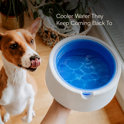 ChillSip Bowl – Cooling Pet Water Bowl for Fresh, Hydrated Days