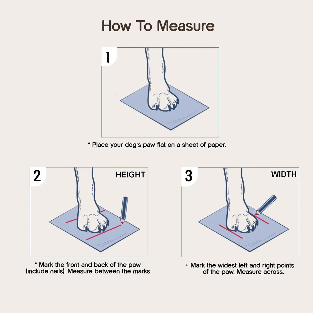 BunnyGlide Boots | Premium Small Pet Shoes for Paw Safety & Style - Tilting Heads