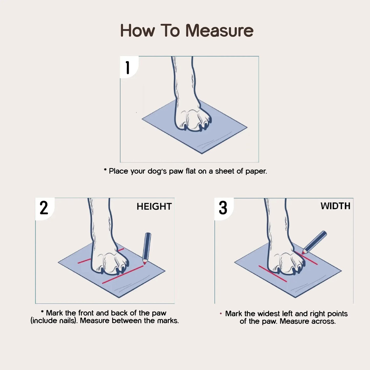 BunnyGlide Boots | Premium Small Pet Shoes for Paw Safety & Style - Tilting Heads