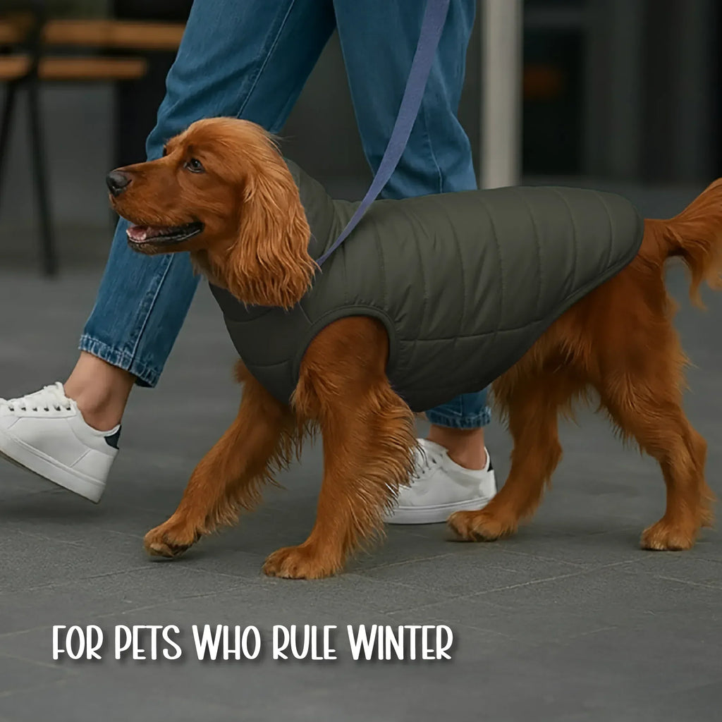 CalmFrost Puffer Jacket | Waterproof, Lightweight & Warm Dog Jacket | Winter Comfort & Style - Tilting Heads