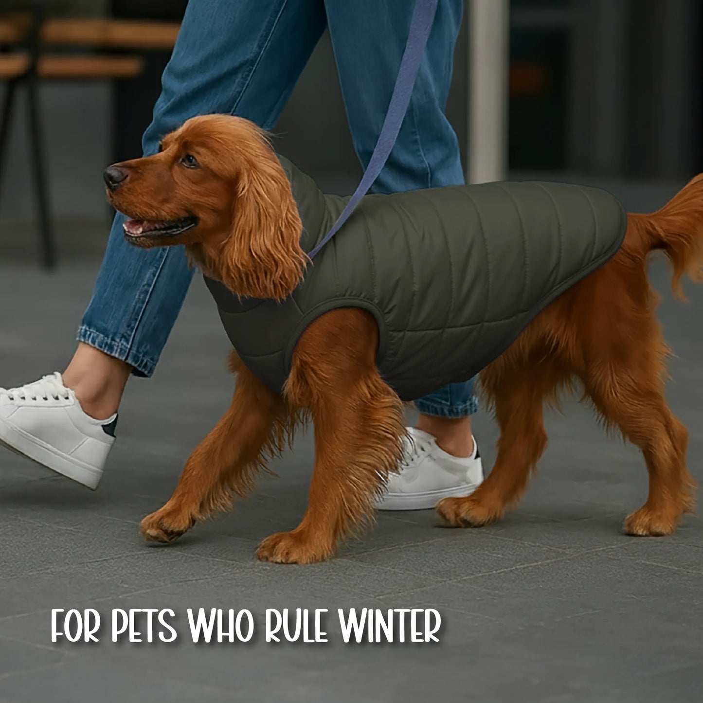 CalmFrost Puffer Jacket | Waterproof, Lightweight & Warm Dog Jacket | Winter Comfort & Style