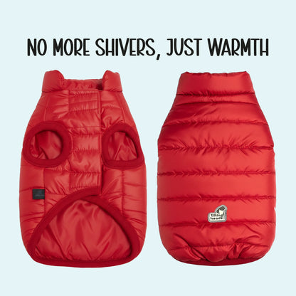 CalmFrost Puffer Jacket | Waterproof, Lightweight & Warm Dog Jacket | Winter Comfort & Style