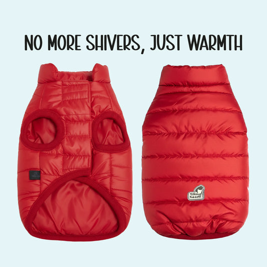 CalmFrost Puffer Jacket | Waterproof, Lightweight & Warm Dog Jacket | Winter Comfort & Style