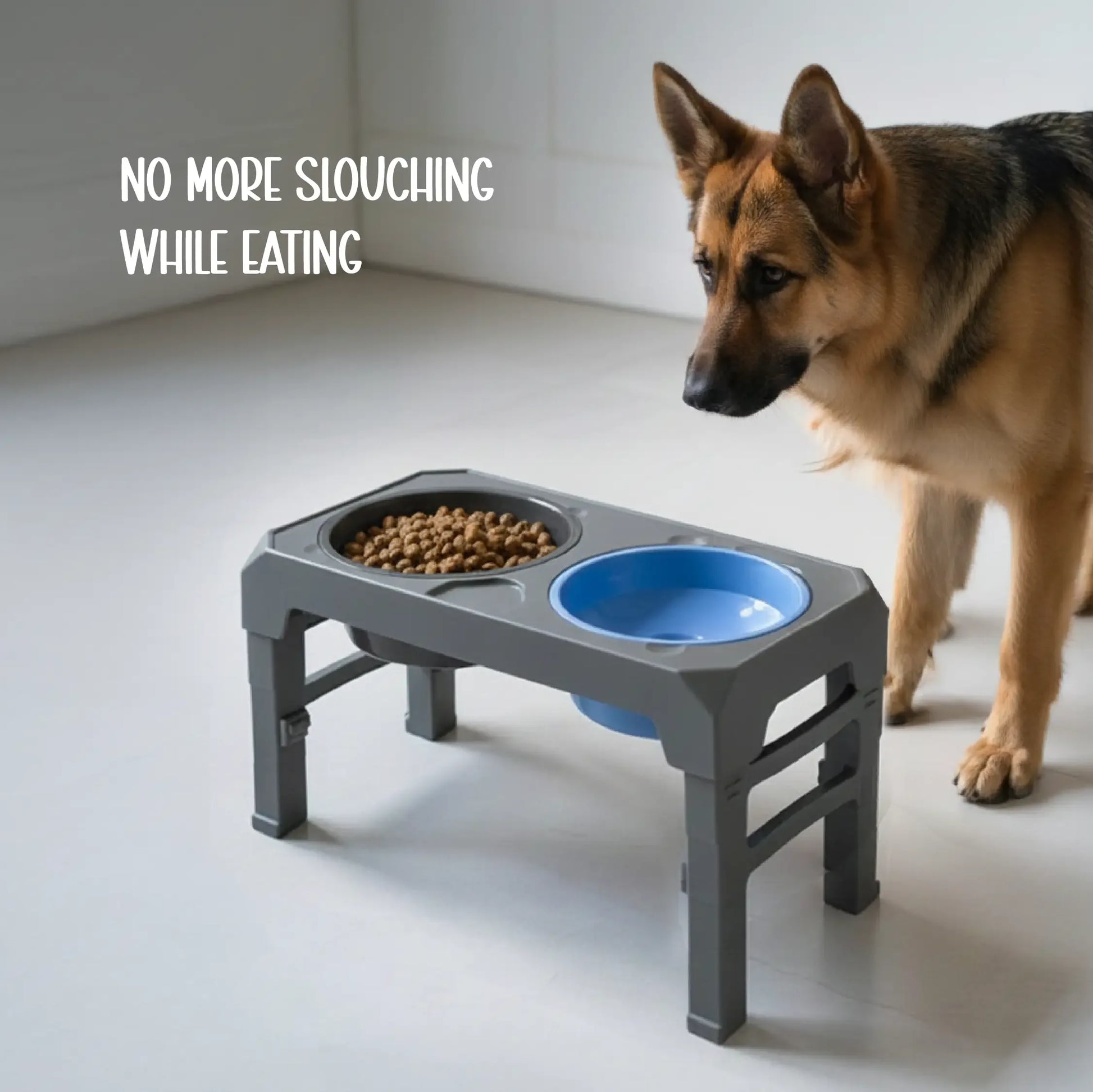 CalmSip Meal Station | Multi-Height Comfort, Slow Feeder & Spill-Proof Bowl for Healthier Mealtimes - Tilting Heads