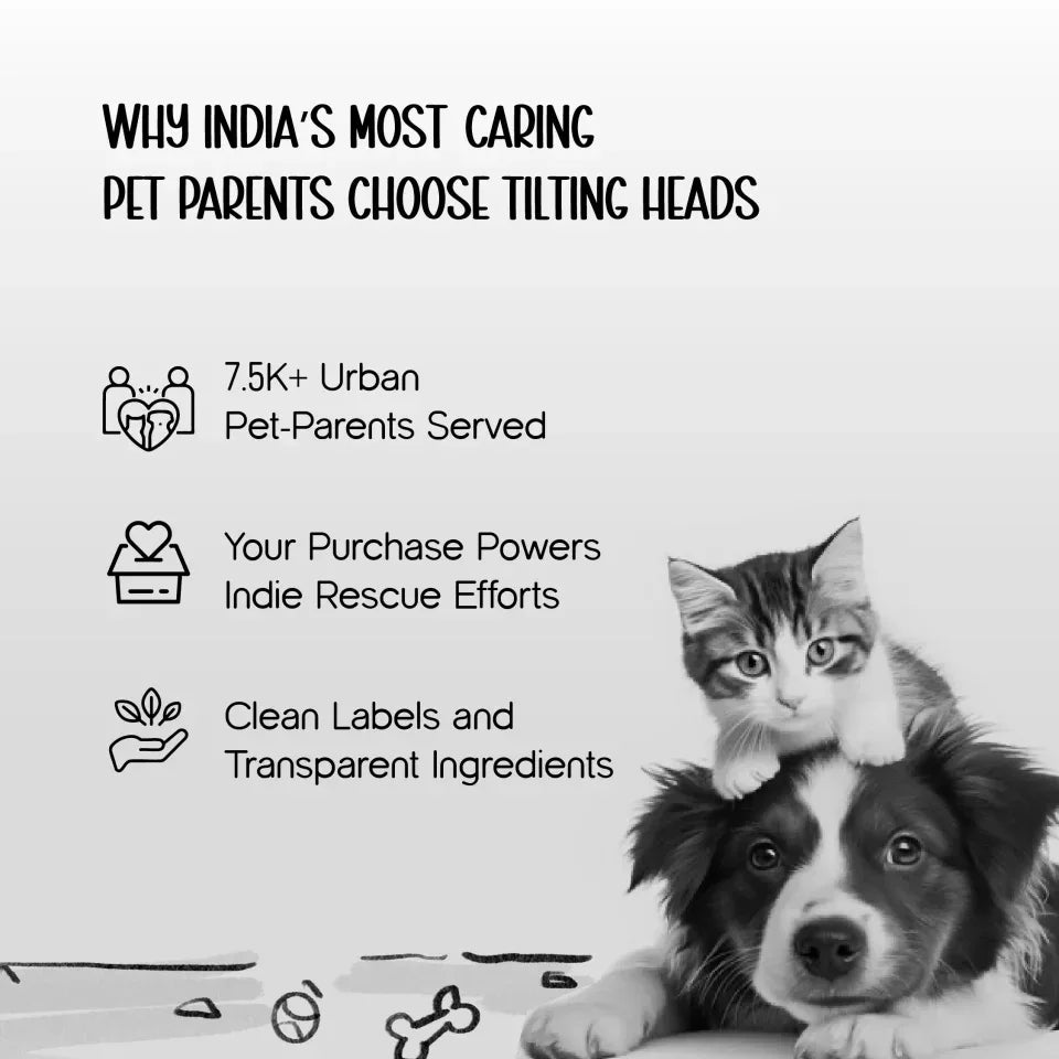 CalmSip Meal Station | Multi-Height Comfort, Slow Feeder & Spill-Proof Bowl for Healthier Mealtimes - Tilting Heads