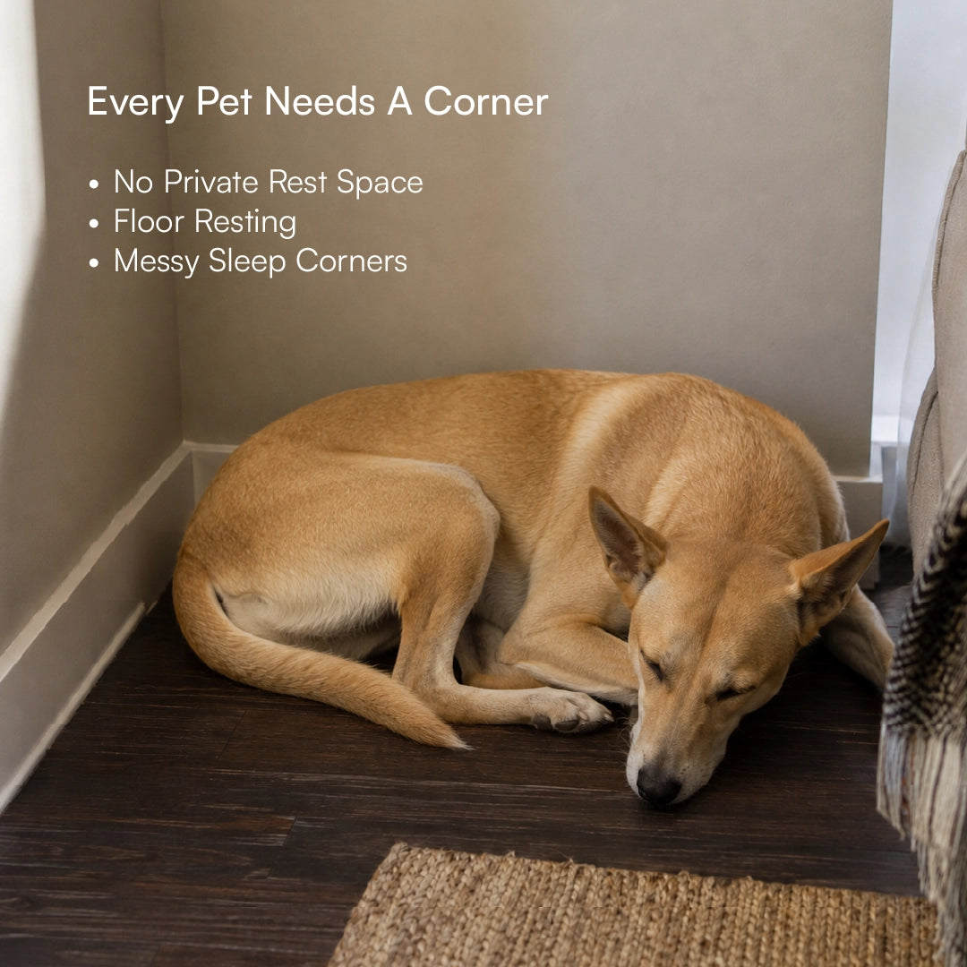 CampCove Hut | Covered Comfort for Everyday Rest for dogs and cats